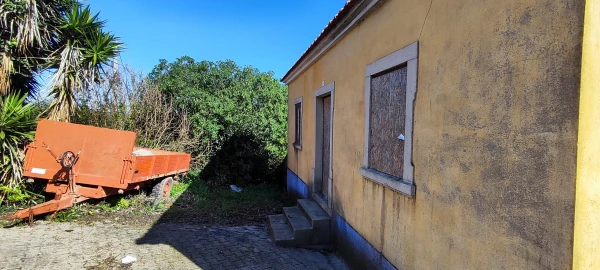 Moradia T3 para Venda em Miragaia e Marteleira