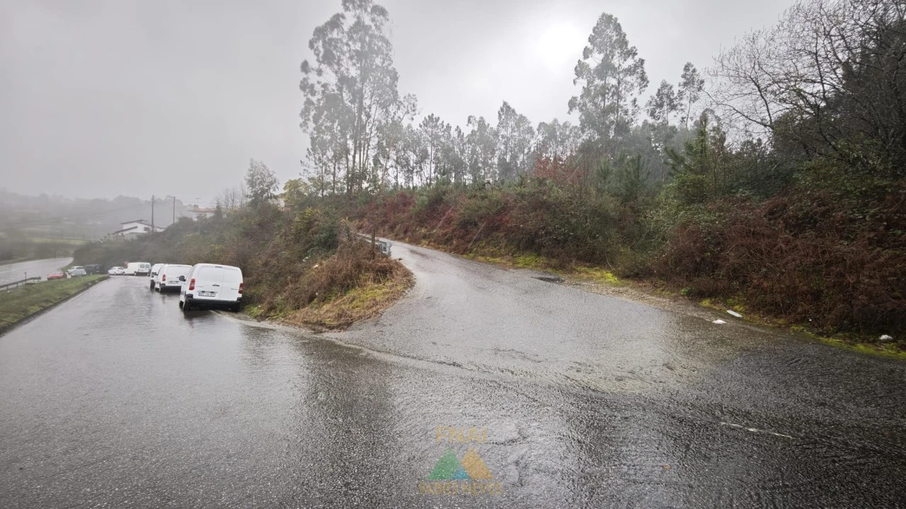 Terreno Comércio / Armazém para Venda em Anais Foto 6