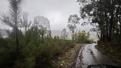 Terreno Comércio / Armazém para Venda em Anais