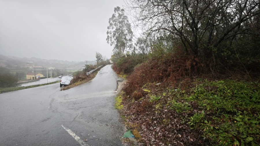 Terreno Comércio / Armazém para Venda em Anais Foto 4