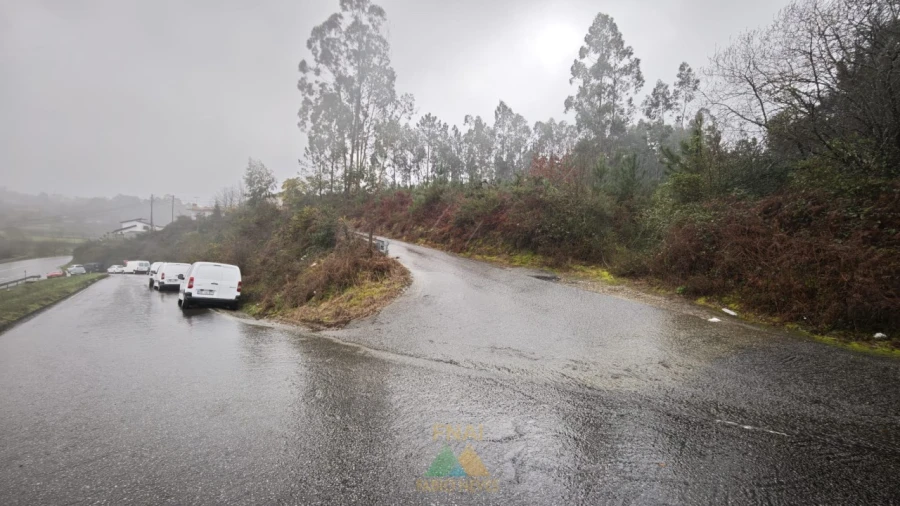 Terreno Comércio / Armazém para Venda em Anais Foto 6