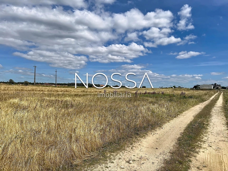 Terreno para Venda em Barrosa Foto 11