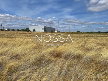 Terreno para Venda em Barrosa
