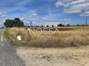 Terreno para Venda em Barrosa