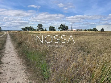 Terreno para Venda em Barrosa