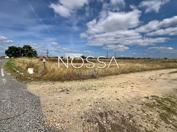 Terreno para Venda em Barrosa