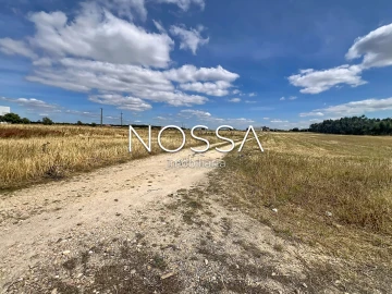 Terreno para Venda em Barrosa
