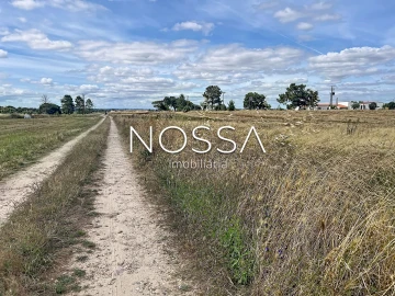 Terreno para Venda em Barrosa