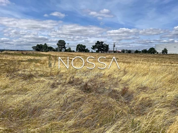 Terreno para Venda em Barrosa