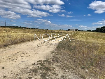 Terreno para Venda em Barrosa