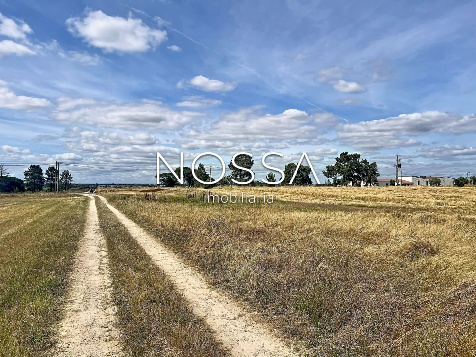 Terreno para Venda em Barrosa Foto 9