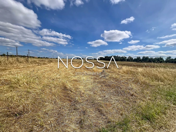Terreno para Venda em Barrosa Foto 20
