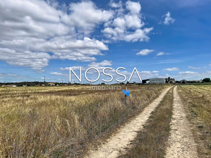 Terreno para Venda em Barrosa Foto 7