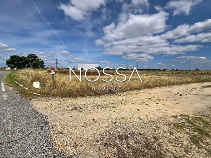 Terreno para Venda em Barrosa Foto 16