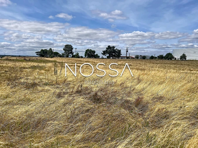Terreno para Venda em Barrosa Foto 2