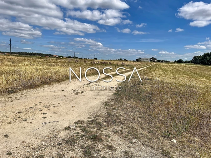 Terreno para Venda em Barrosa Foto 14