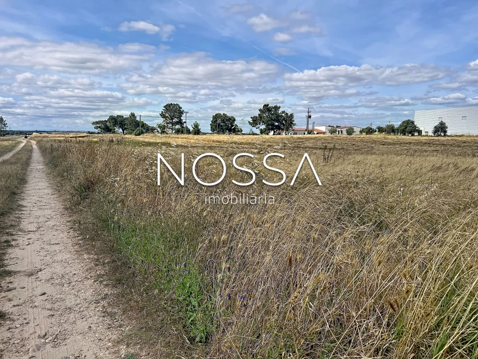 Terreno para Venda em Barrosa Foto 5