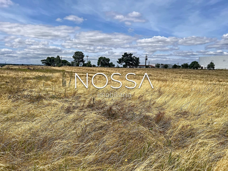 Terreno para Venda em Barrosa Foto 2