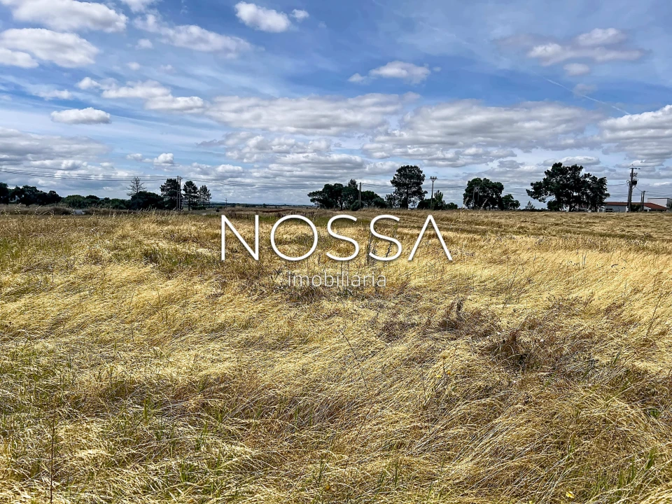 Terreno para Venda em Barrosa Foto 3