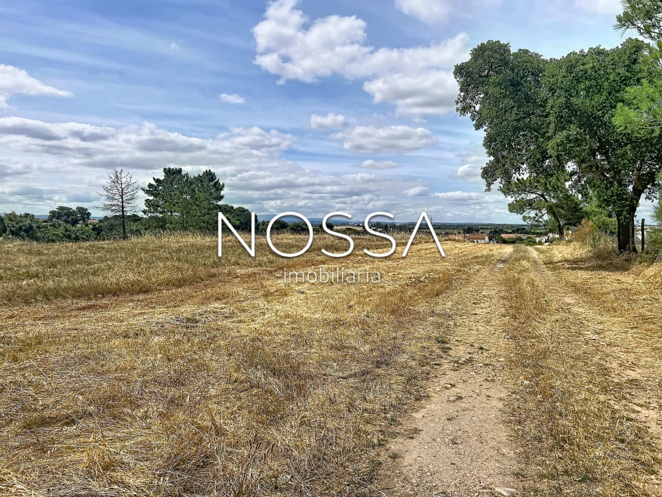 Terreno para Venda em Barrosa Foto 1