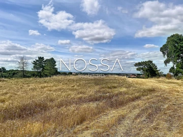 Terreno para Venda em Barrosa