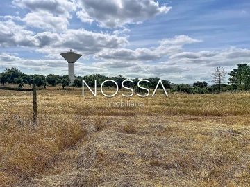 Terreno para Venda em Barrosa