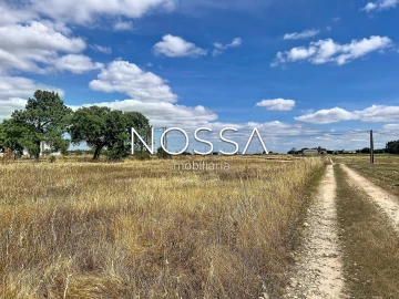 Terreno para Venda em Barrosa