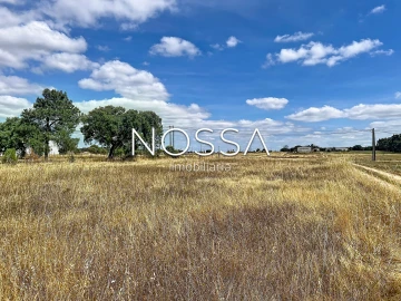 Terreno para Venda em Barrosa