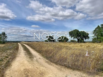 Terreno para Venda em Barrosa