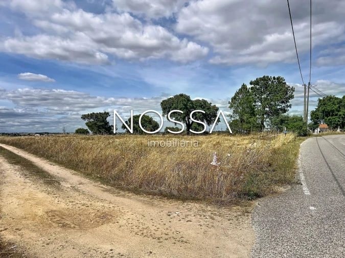 Terreno para Venda em Barrosa Foto 7