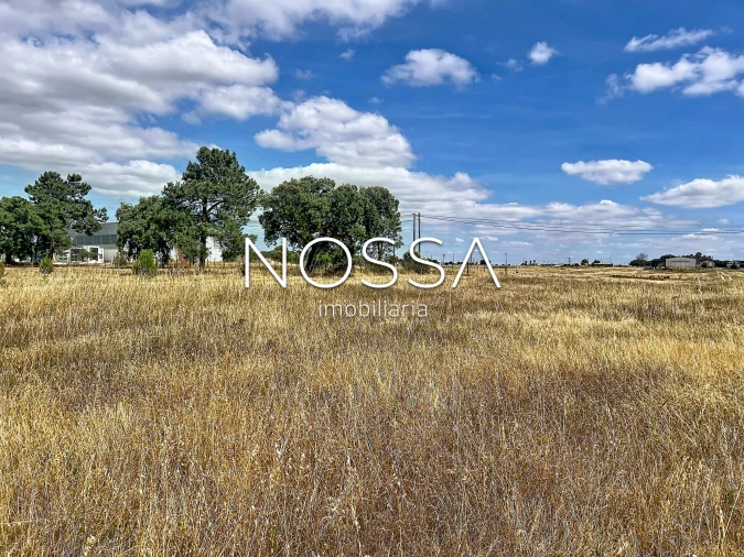 Terreno para Venda em Barrosa Foto 19