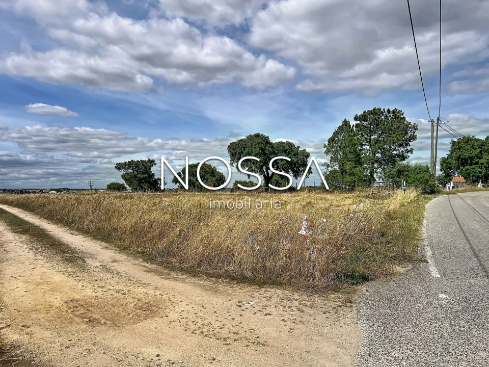 Terreno para Venda em Barrosa Foto 16