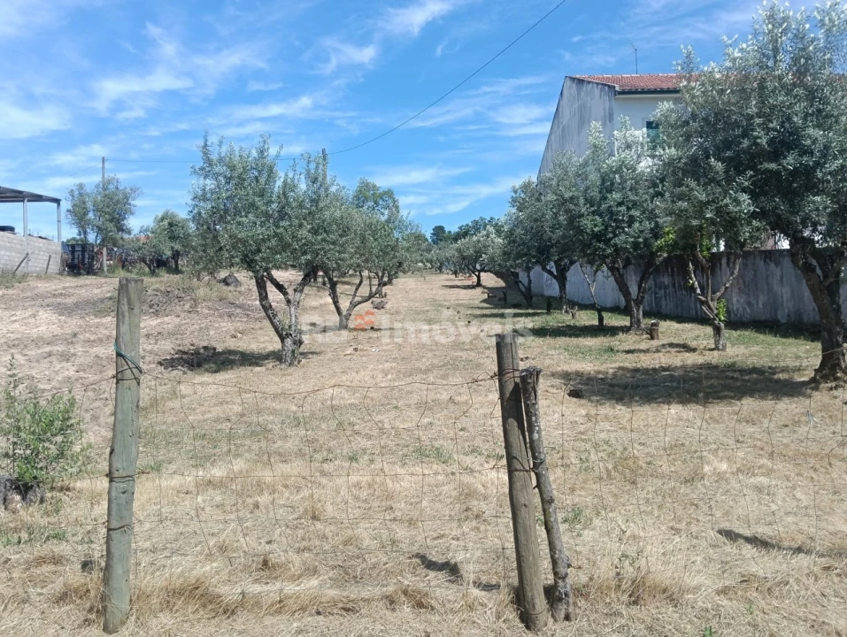 Terreno para Venda em Carregueira Foto 1