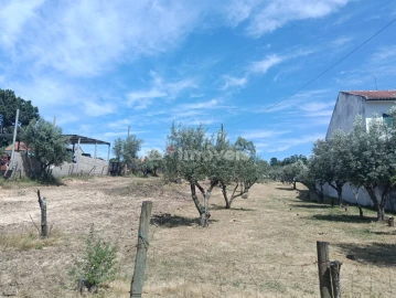 Terreno para Venda em Carregueira