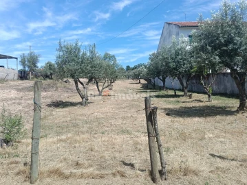Terreno para Venda em Carregueira