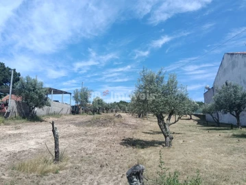 Terreno para Venda em Carregueira