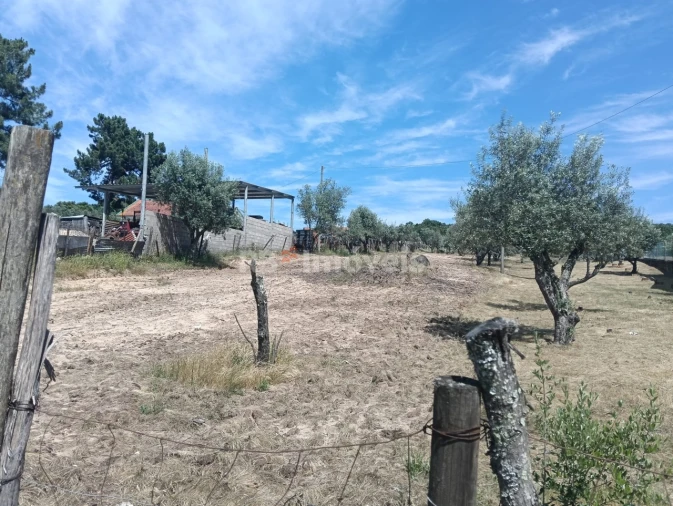 Terreno para Venda em Carregueira Foto 3
