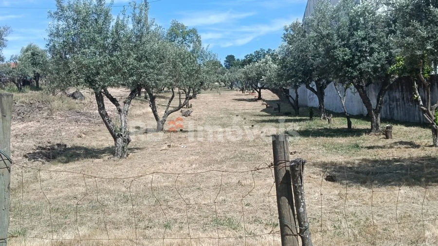 Terreno para Venda em Carregueira