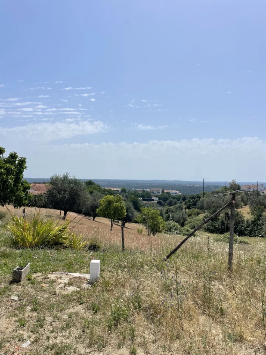 Quinta T3 para Venda em Montargil Foto 3
