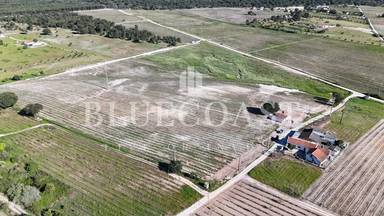 Terreno para Venda em Poceirão e Marateca Foto 3