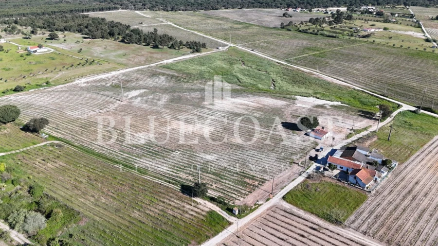 Terreno para Venda em Poceirão e Marateca Foto 3