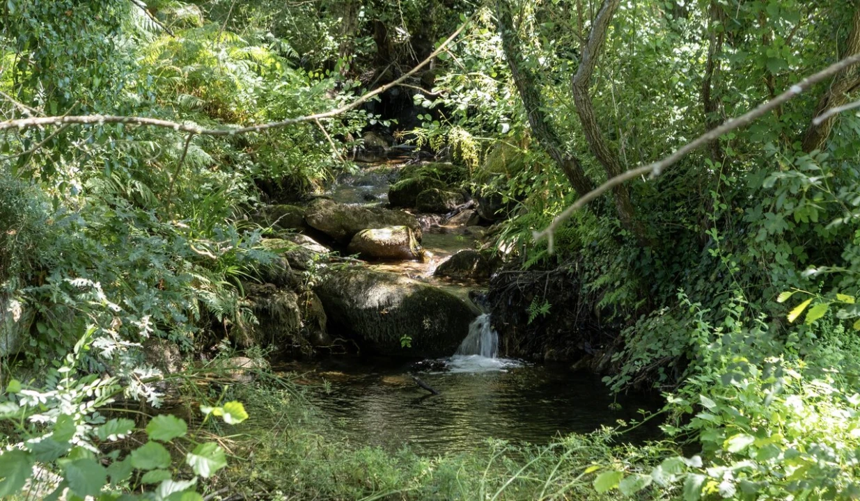 Quinta T6 para Venda em Melo e Nabais Foto 10
