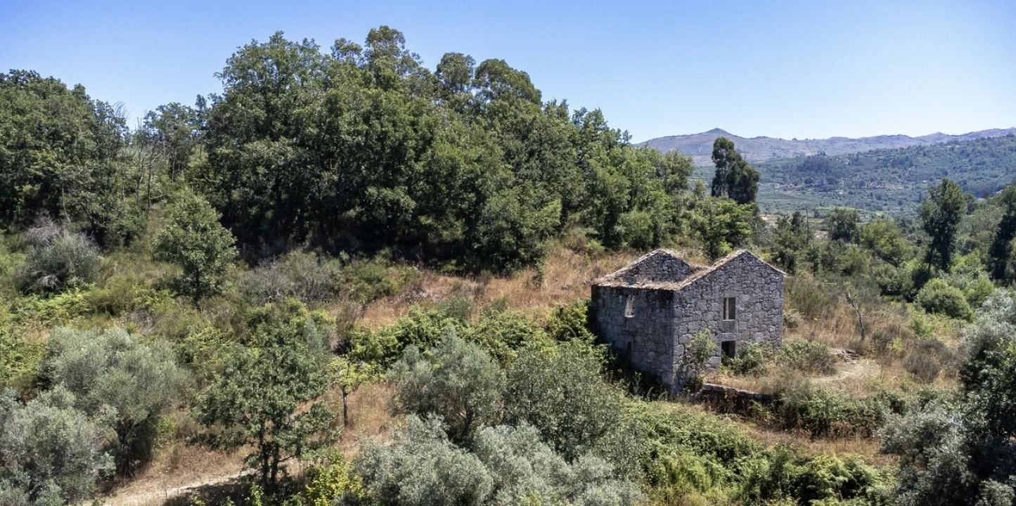 Quinta T6 para Venda em Melo e Nabais Foto 1