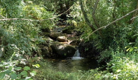Quinta T6 para Venda em Melo e Nabais