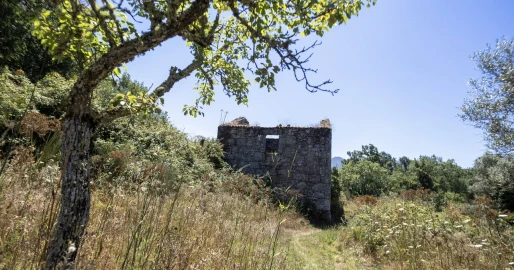 Quinta T6 para Venda em Melo e Nabais