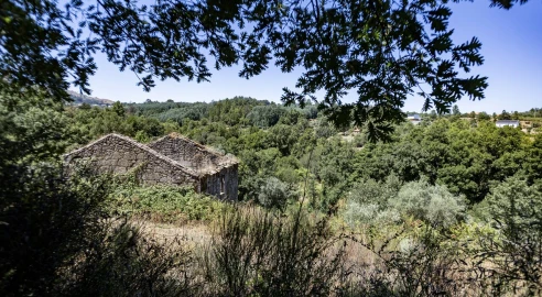 Quinta T6 para Venda em Melo e Nabais