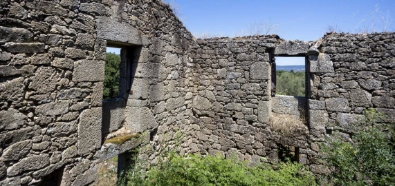 Quinta T6 para Venda em Melo e Nabais