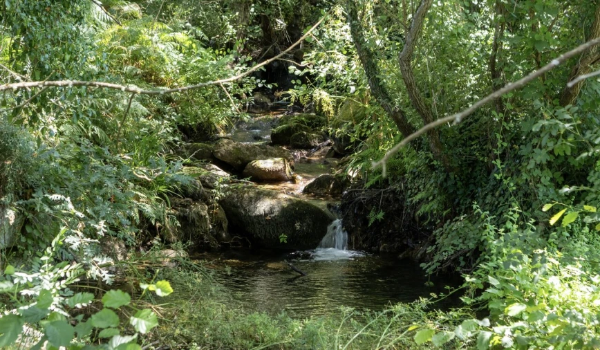 Quinta T6 para Venda em Melo e Nabais Foto 10
