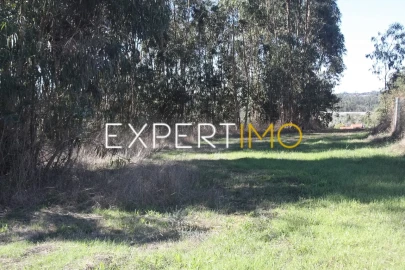 Quinta T4 para Venda em Redinha