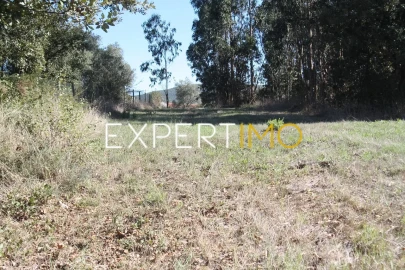 Quinta T4 para Venda em Redinha